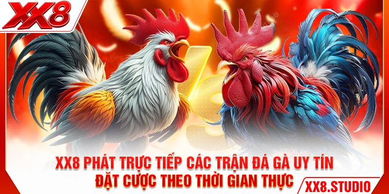 XX8 phát trực tiếp các trận đá gà uy tín, đặt cược theo thời gian thực